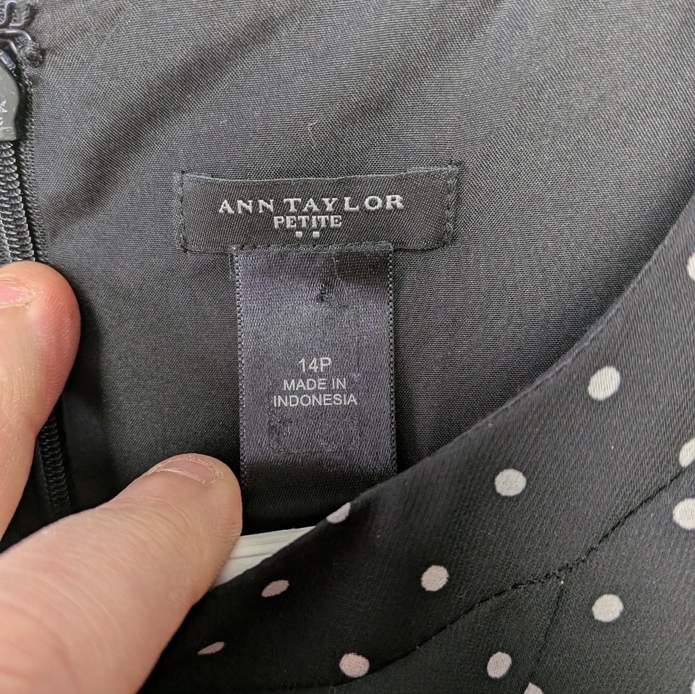 ANN TAYLOR Polka Dot Dress Women Size 14P Black White Back Zipper Sleeveless - Picture 4 of 10